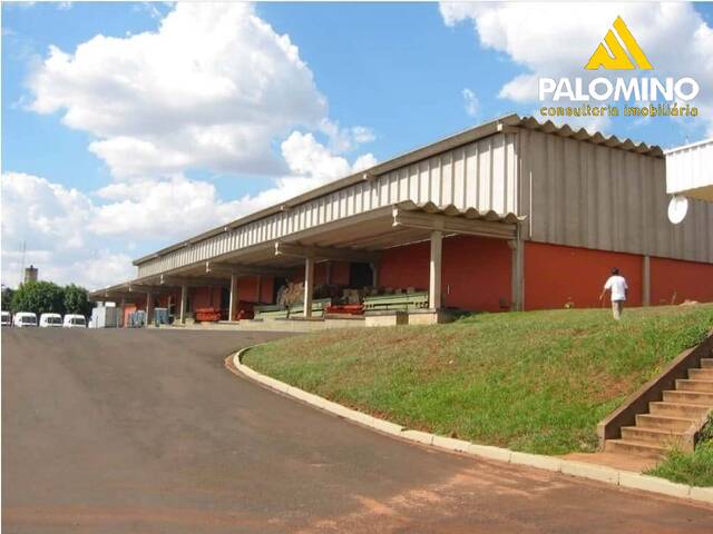 #8 - Galpão para Venda em Araraquara - SP - 3