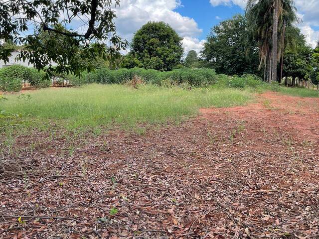 #55 - Chácara para Venda em Araraquara - SP - 1