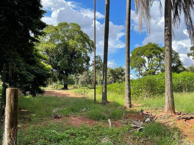 #55 - Chácara para Venda em Araraquara - SP - 3