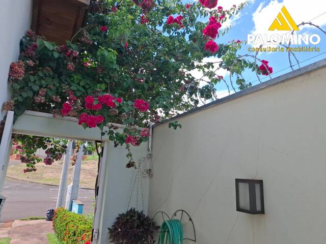 #71 - Casa para Venda em Araraquara - SP - 3
